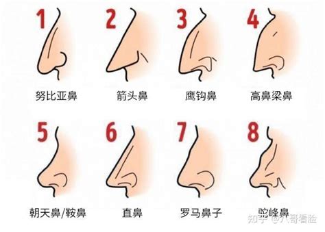 三角形鼻子面相|鼻型面相看健康運